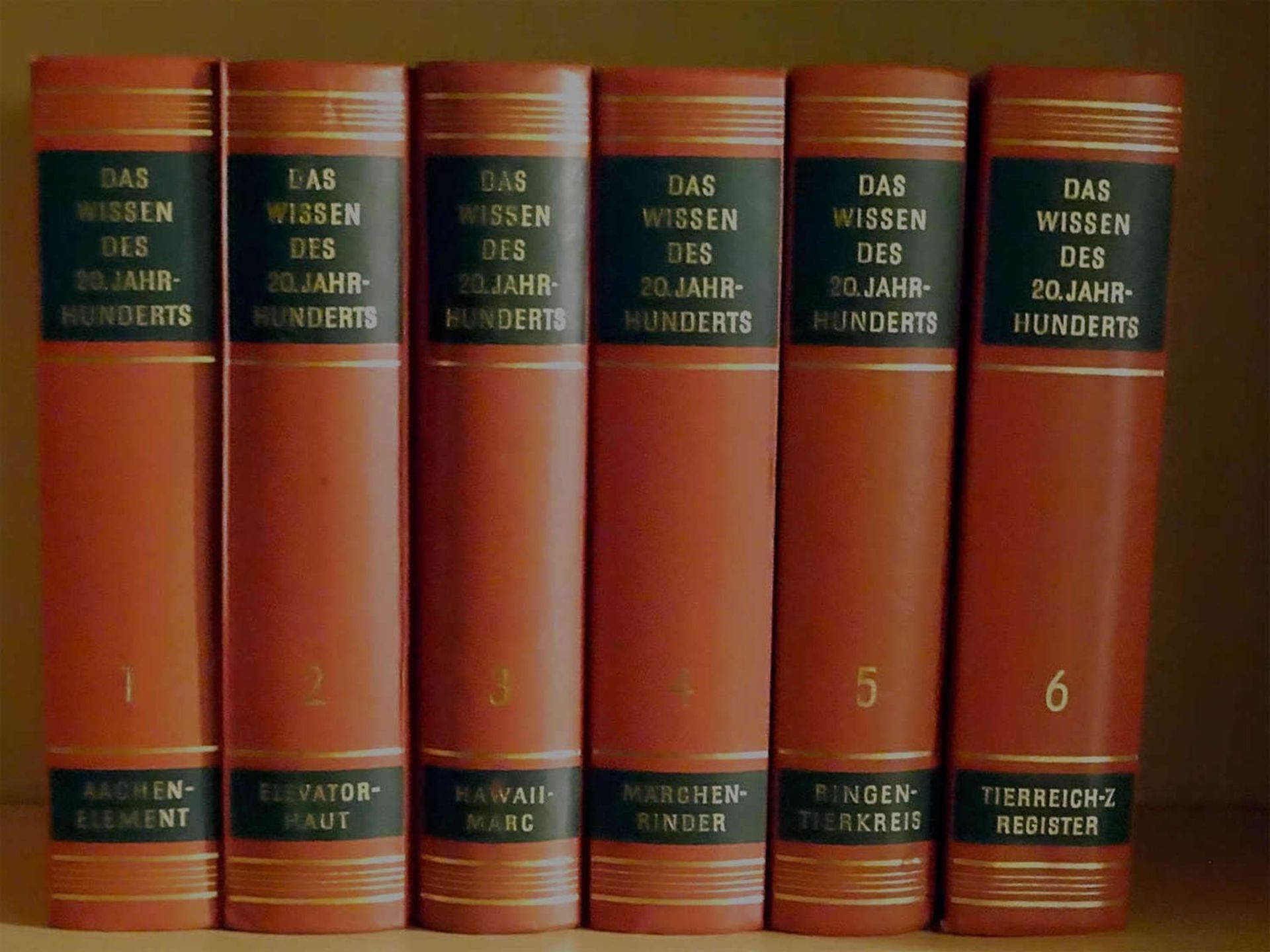 Das Wissen des 20. Jahrhunderts Band 1-6, von BorkmannThe Knowledge of the 20th Century Volume 1-