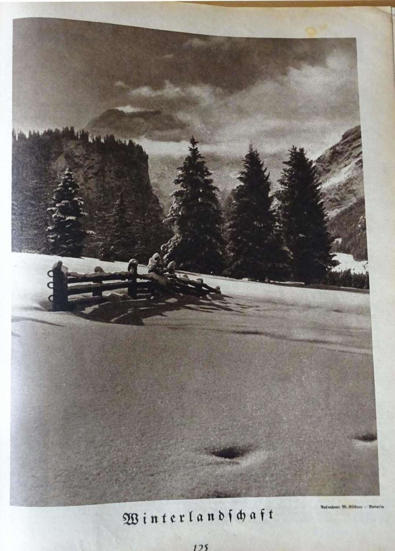 "Hilf mit", Illustrierte deutsche Schülerzeitung, Nr. 1-3 von 1937, Nr. 4-12 von 1938. Gebunden - Bild 3 aus 4
