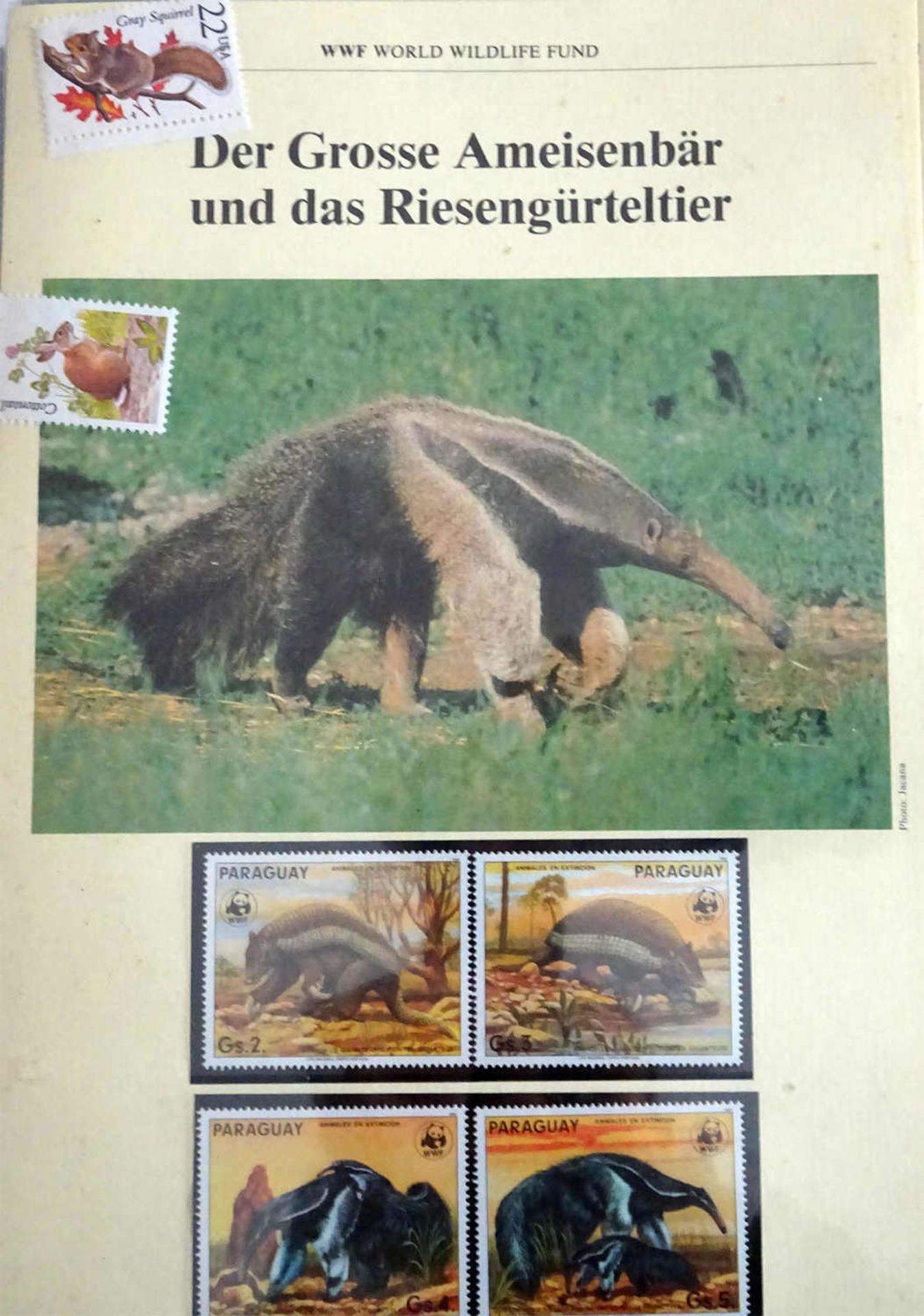 WWF Blätter, 80er Jahre. Prall gefüllt mit Briefmarken auf Sonderkarten. Guter ZustandWWF leaves, - Bild 2 aus 5