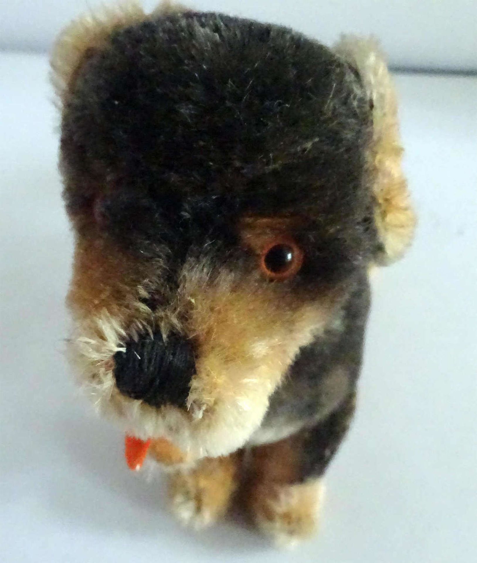 alter Steiff Hund "Dackel Beppo", mit silbernem Knopf. Ca. 60er Jahre. Guter Zustand.old Steiff - Bild 2 aus 3