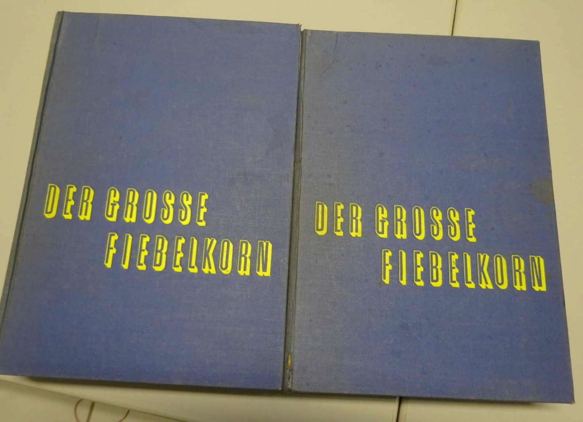Der grosse Fieberkorn, Band 1 + 2, Klasing & co.The big Fieberkorn, Volume 1 + 2, Klasing & co.