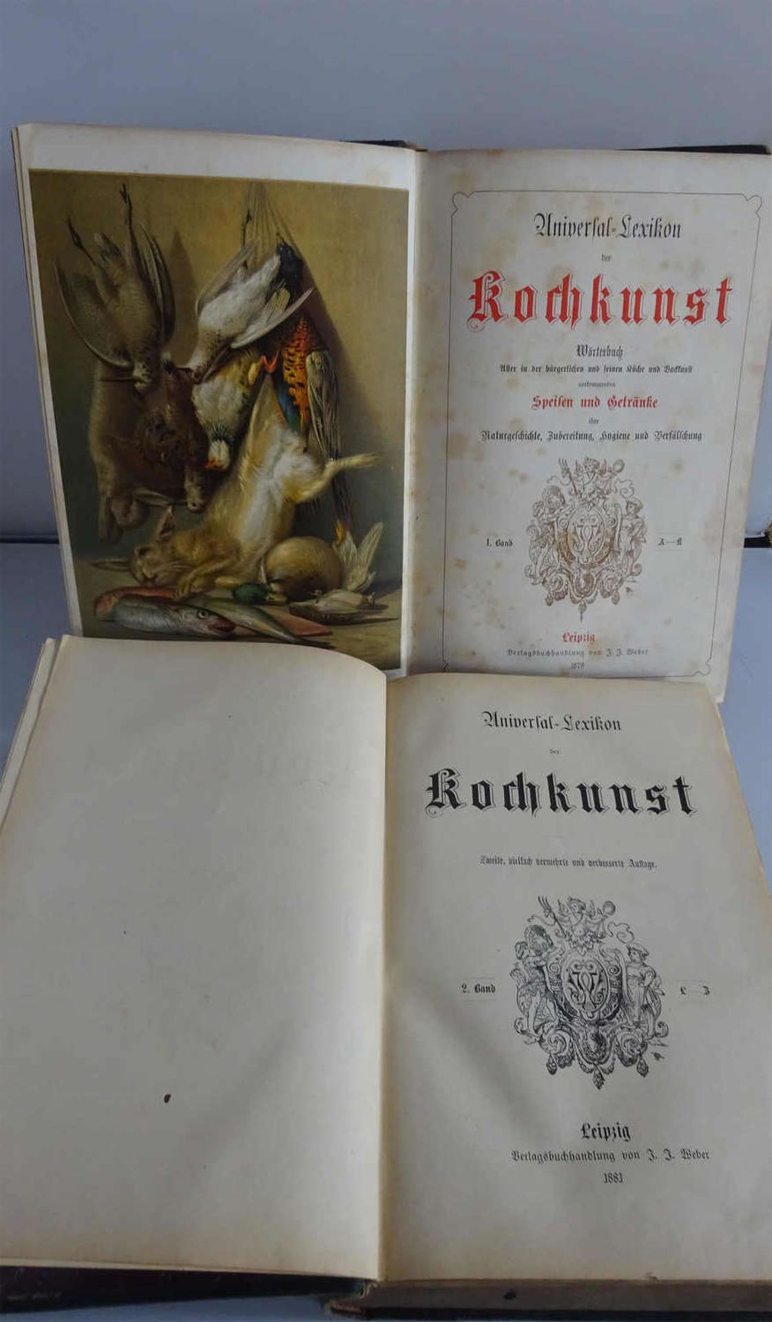 Universal Lexikon der Kochkunst, Band 1 von 1878 und Band 2 von 1881. Gebrauchter Zustand. - Bild 2 aus 2