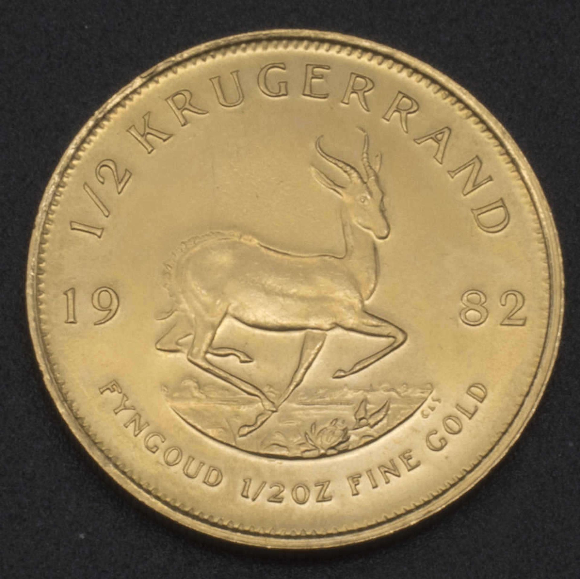 Goldmünze 1/2 Krügerrand. Südafrika 1982Gold coin 1/2 Krugerrand. South Africa 1982 - Bild 2 aus 2