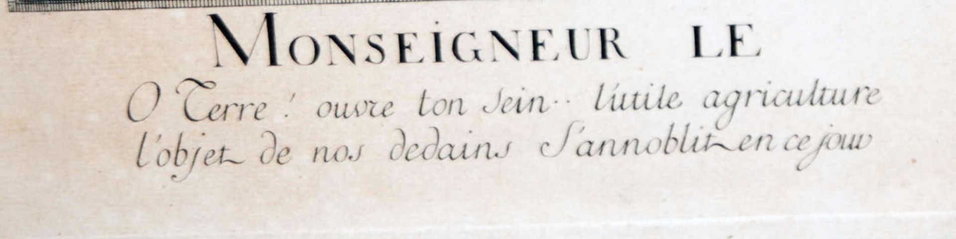 Kupferstich "Monseigneur le Dauphin labourant", von Jeremias Wachsmuth (1711-1771). Blattmaße höhe - Bild 2 aus 3