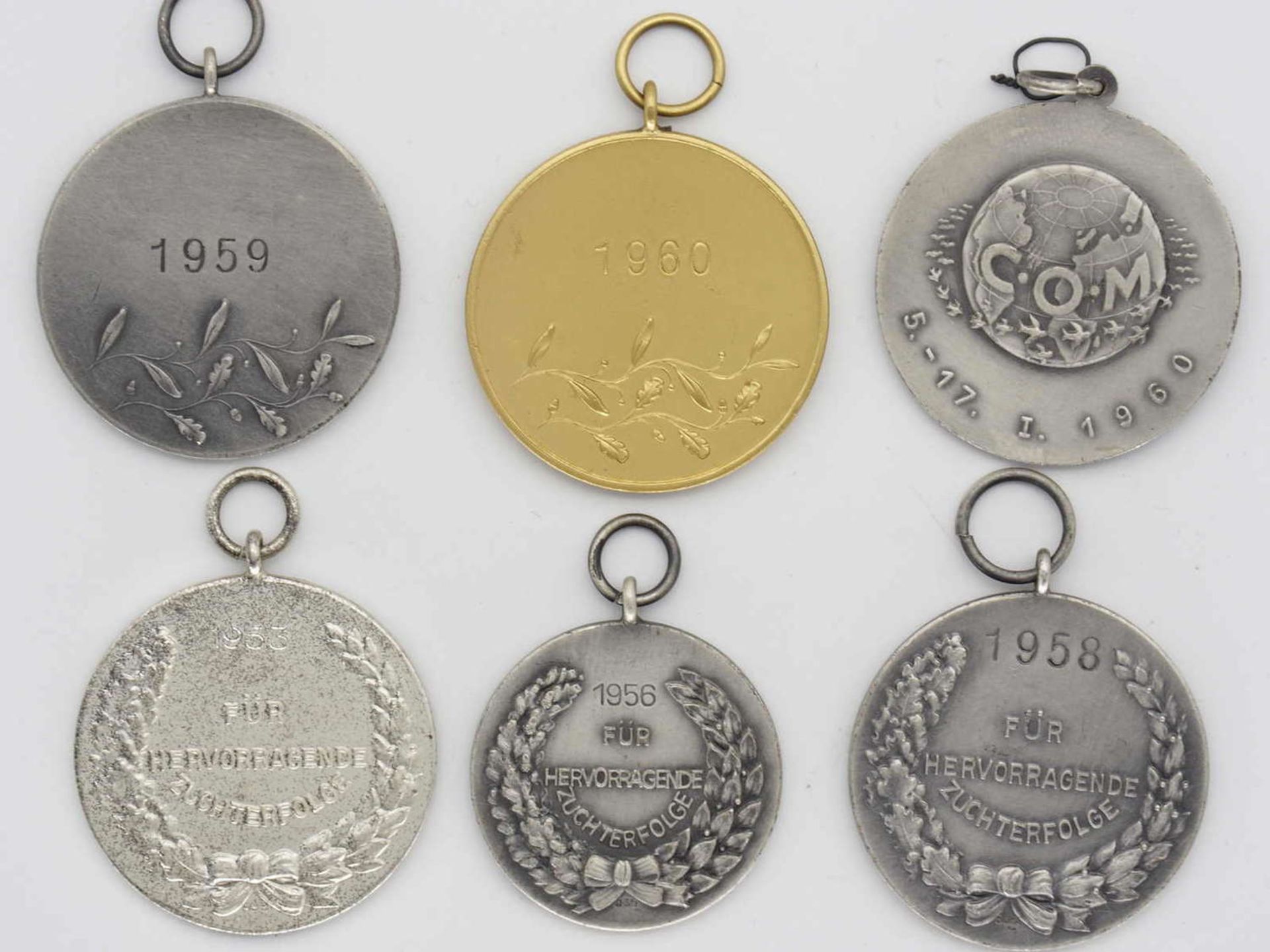 Lot Medaillen, Kanarienzüchter Bund. Insgesamt 6 verschiedene Auszeichnungen.Lot medals, canary