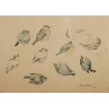 AR John Murray Thomson RSA RSW PSSA (1885-1974) Goldcrest sketches watercolour, signed lower right