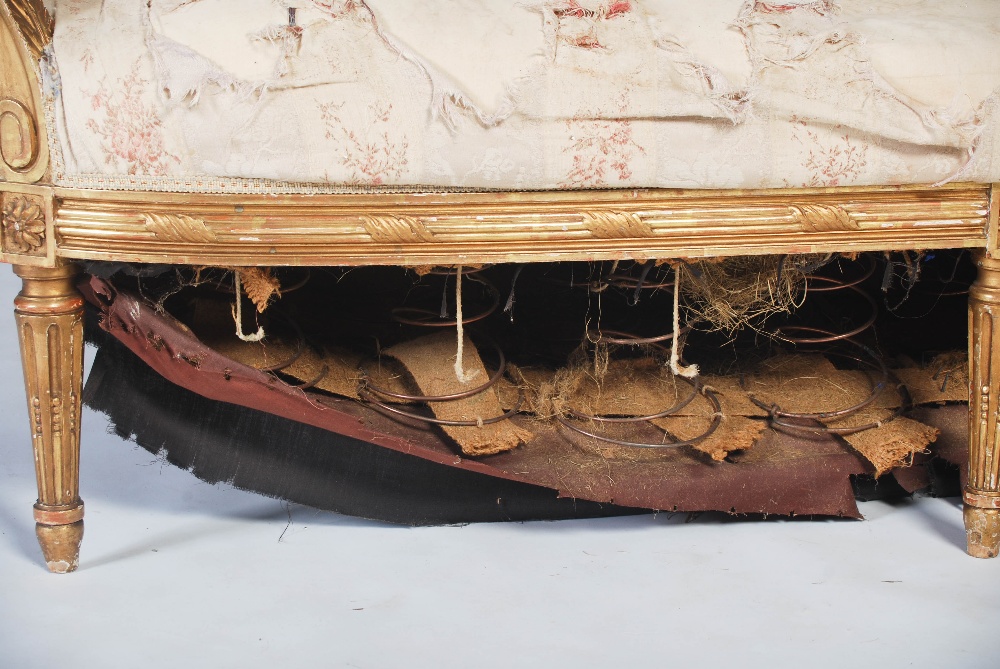 A late 19th century gilt wood sofa, the reeded top rail centred with flower and foliate carved - Image 6 of 17