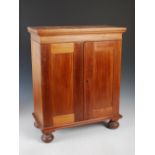 A 19th century mahogany specimen cabinet, the rectangular top above a pair of panelled cupboard