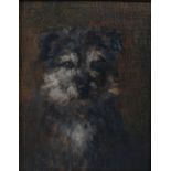 AR John Murray Thomson RSA RSW PSSA (1885-1974) Portrait of a terrier- Nick oil on board 24cm x 19cm