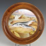 A circular painted porcelain panel depicting two salmon signed 'D.BIRBECK', in walnut frame, overall