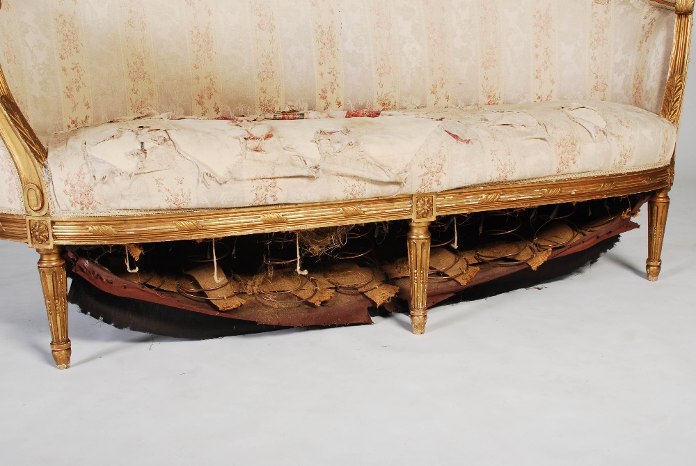 A late 19th century gilt wood sofa, the reeded top rail centred with flower and foliate carved - Image 5 of 17