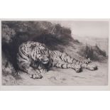 Herbert Thomas Dicksee (1862-1942) Recumbent tiger etching, signed in pencil lower left 18cm x 28cm