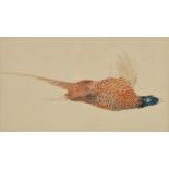 Attributed to Joseph Mallord William Turner RA (1775-1851) Dead Pheasant watercolour 18cm x 32.5cm