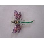 Champlevé enamel & silver dragonfly brooch
