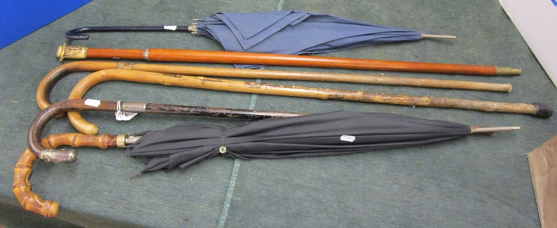 Sticks & umbrellas to include a silver mounted example