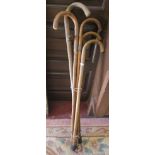 Collection of walking sticks to include silver mounted & signed examples