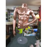 Gentleman bronzed torso on stand