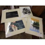 Collection of mounted watercolours