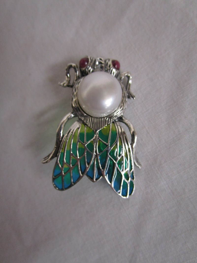 Silver & champlevé enamel bug brooch