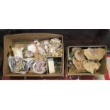 Box of shells, fungi samples & fossilised coral