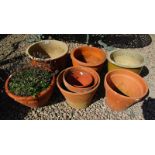 Collection of garden pots, mostly terracotta