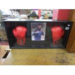 Cased boxing gloves signed Amir Khan