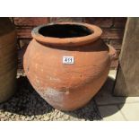 Large terracotta pot