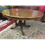 Oval burr walnut lou table - H: 74cm W: 128cm D: 96cm