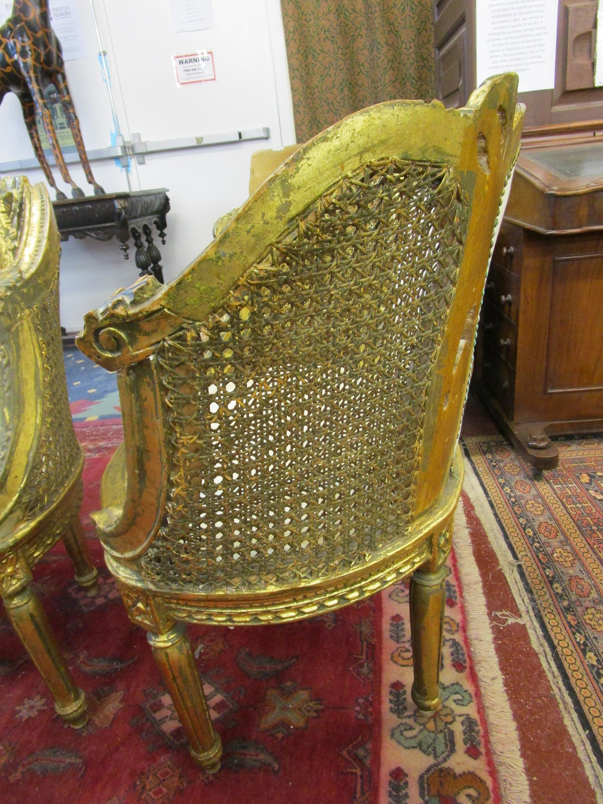 Pair of French gilt and bergère tub chairs - Image 4 of 5