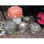 Collection of stone mushrooms