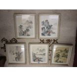 Collection of 5 Chinese pictures