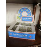 Six Babycham glasses in original box
