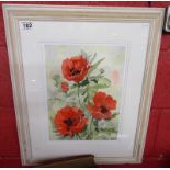 Watercolour signed G M Wilson - Poppies