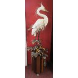 Substantial floor-standing Albany Fine China model of an Egret