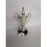 Silver trophy (Approx 150g)