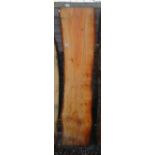 Display wood - Lebanese cedar