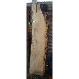 Display wood - Ash