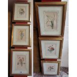 Set of six L/E botanical prints