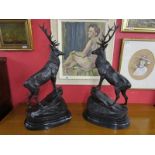 Bronzes - Large and impressive pair of stags on marble bases (H: 75cm)