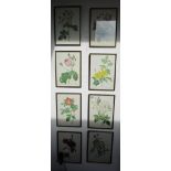 Set of 8 botanical prints