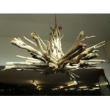 Unusual drift wood chandelier