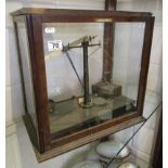 Cased scientific scales