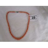 Coral necklace with silver clasp