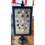 FAUX BIRD EGG COLLECTION, Victorian style in display case on stand, ebonised, 70cm H.