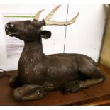 BLACK FOREST RIENDEER, 19th carved, recumbent naturally horned, 80cm W x 56cm H.