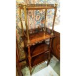 BOOK SHELVES, a pair, William IV mahogany and gilt metal, each of narrow proportions,