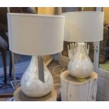 TABLE LAMPS, a pair, contemporary shell design, with light up base.