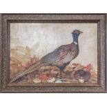 GASTON ANDRE (French 1884-1970) 'Cock Pheasant', oil on canvas, signed lower left, 50cm x 77cm,