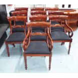 DINING CHAIRS, a set of ten, including two carvers, William IV style, mahogany,