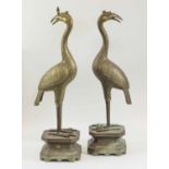 CHINESE 19TH CENTURY BRONZE CRANES, a pair, on bronze bases, engraved, 61cm H.